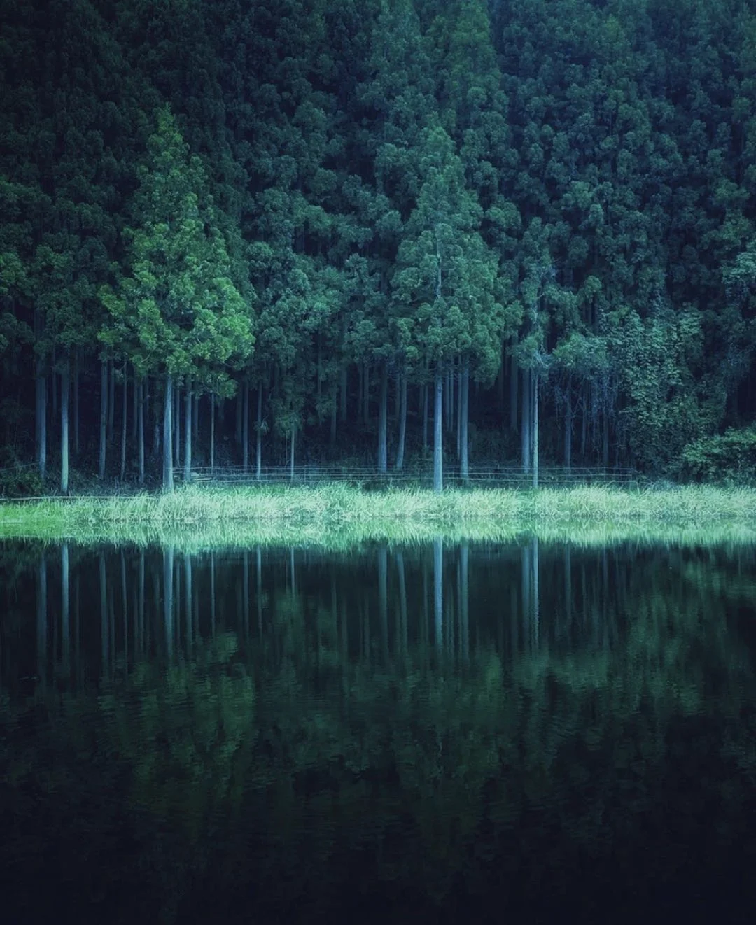 日本奈良|桂林山水？是神秘奈良镜面池啦！