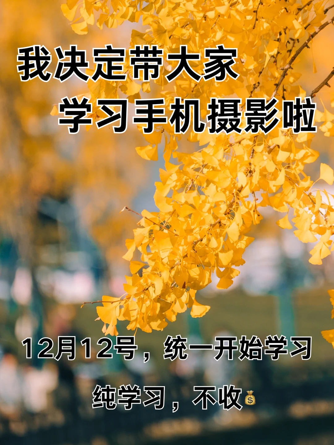 我决定带大家学习手机摄影啦！！