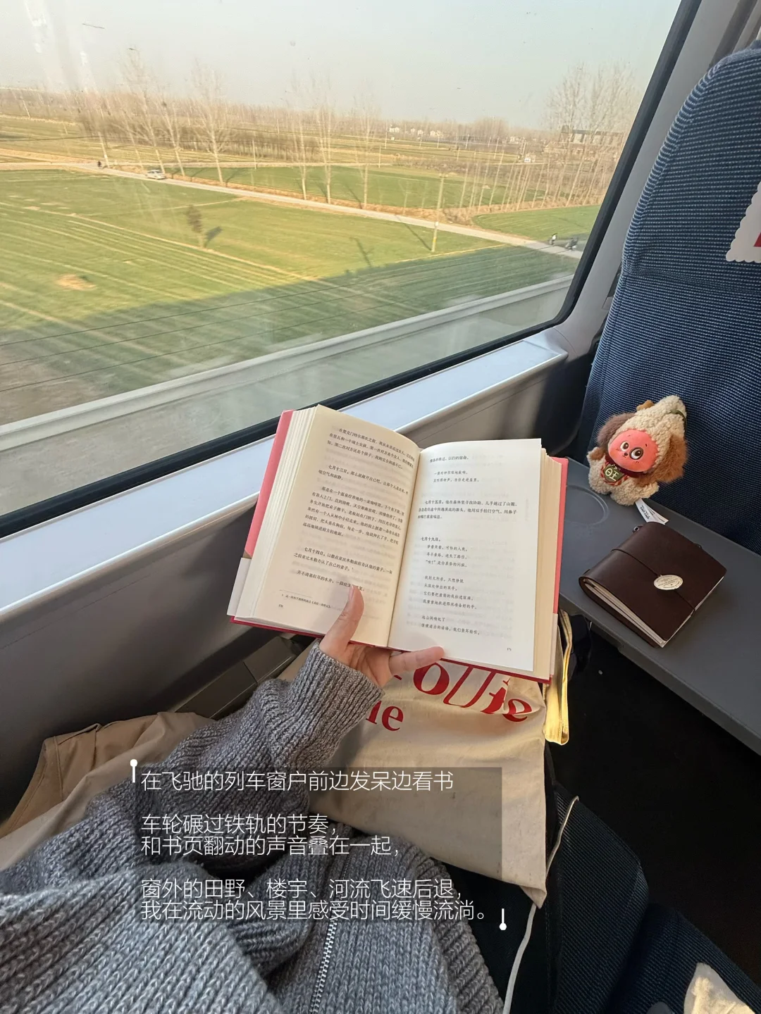 断联、不看手机，在流动的车厢一直读书