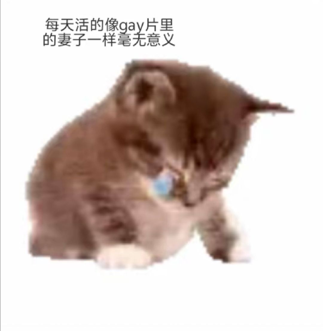 我Chovy原來這兩天卡的批爆是因為SSD被軟件加密了，被狗微軟氣暈 ​