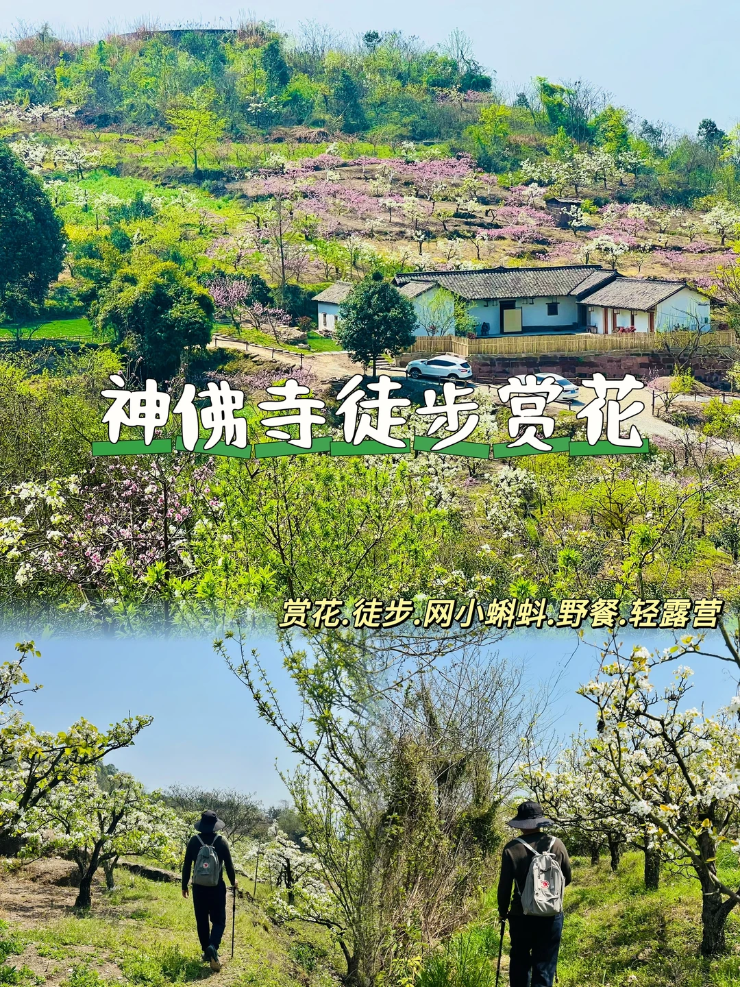 南门出发40min‼️超小众春日徒步赏花秘境