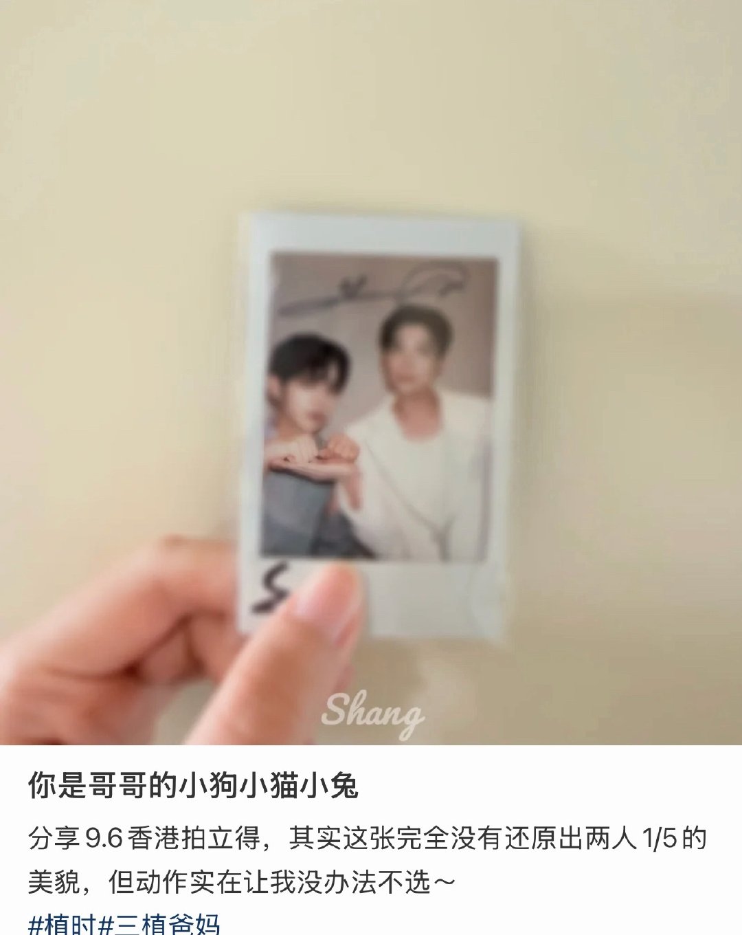 我的天萌我一大跳 时宇变成小贸咪被允植托着🐱 ​