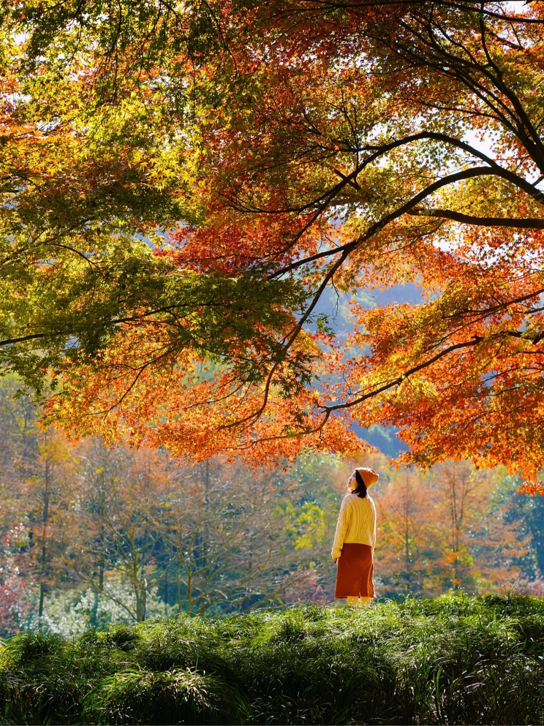 梦幻秋景🍁｜杭州最怦然心动的公园‼️