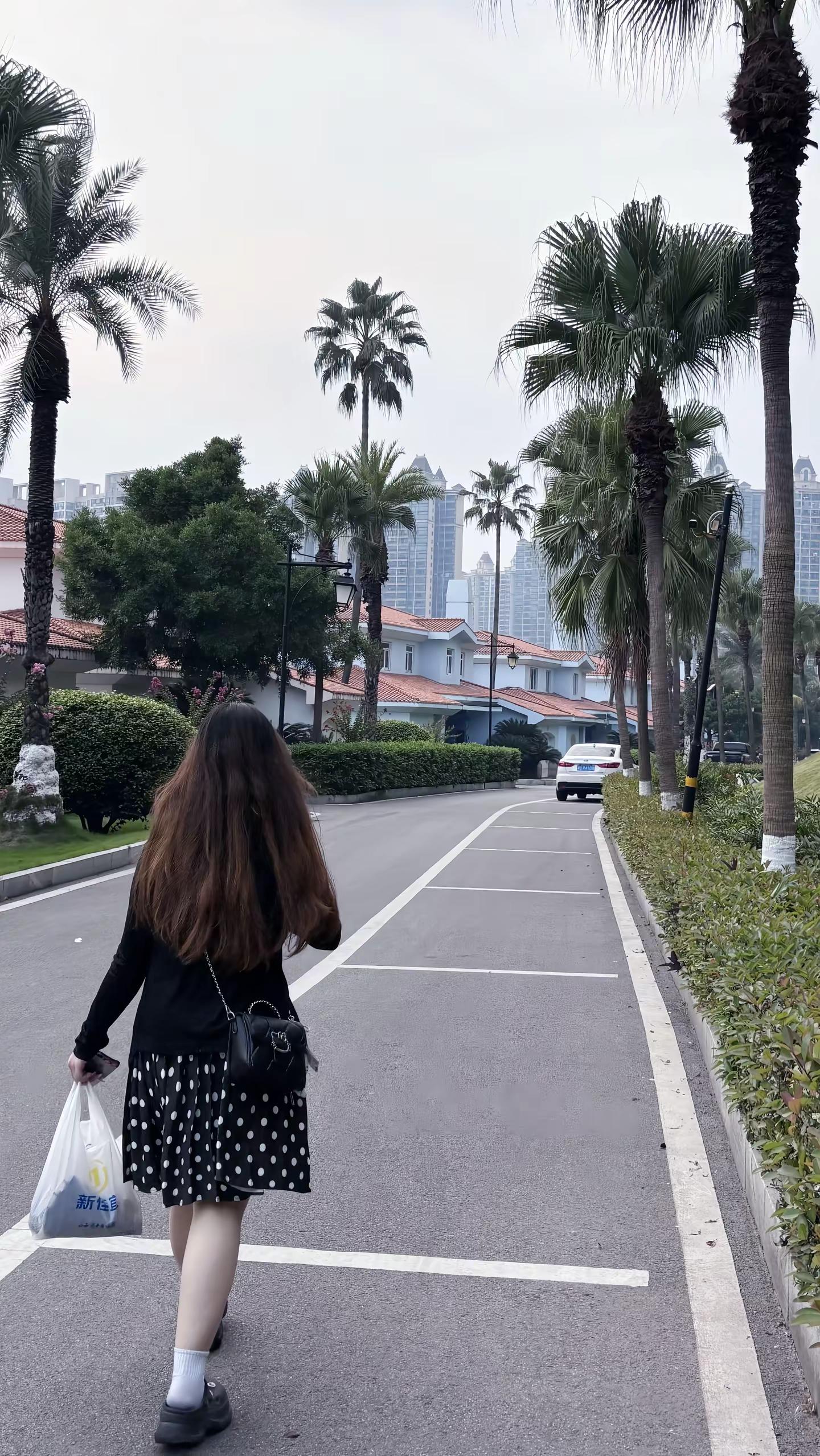 回想那一天 喧闹的喜宴名侦探学院 要做就做南波万