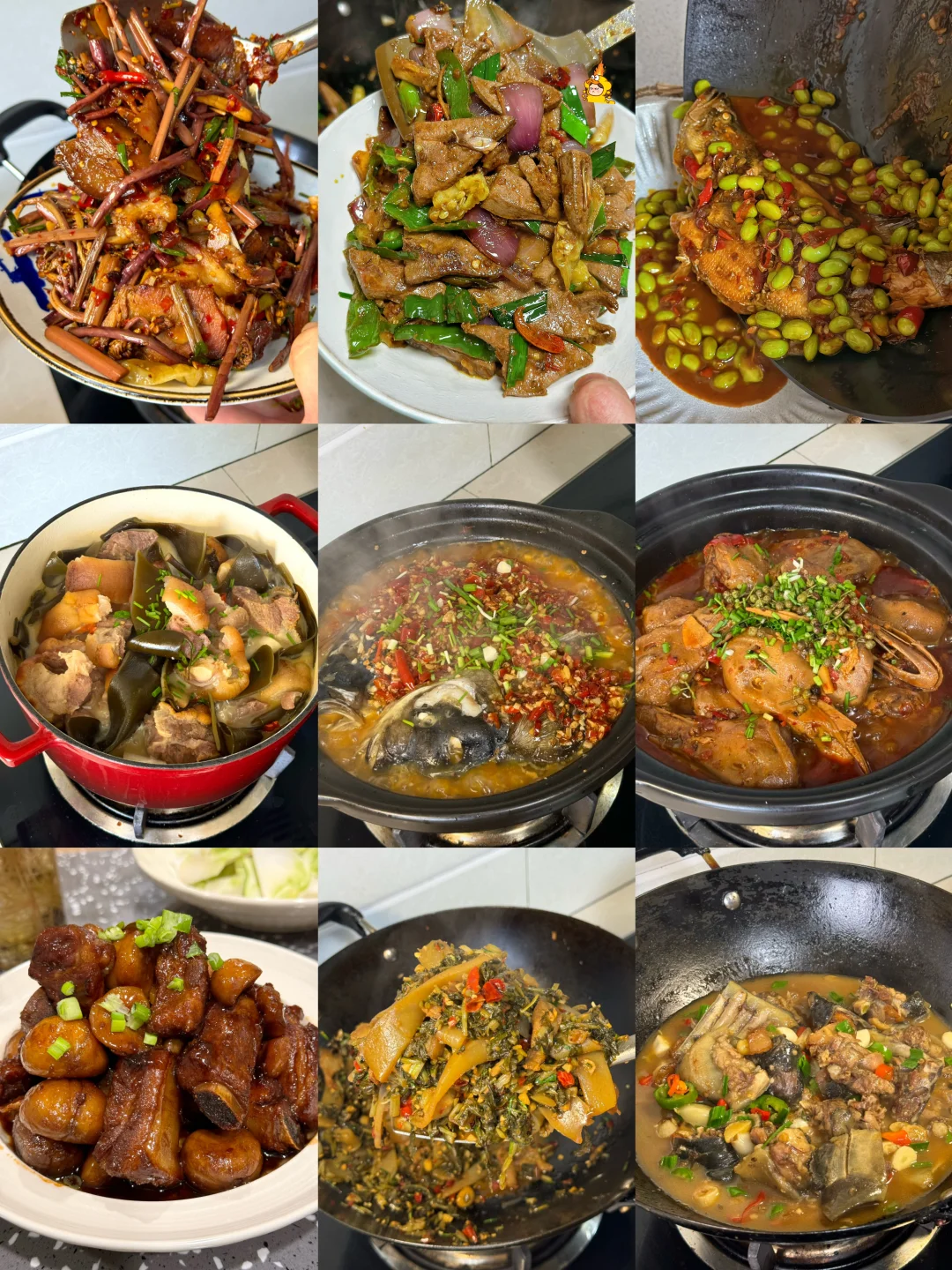 99道家常菜菜合集总有你喜欢的/都有教程哦