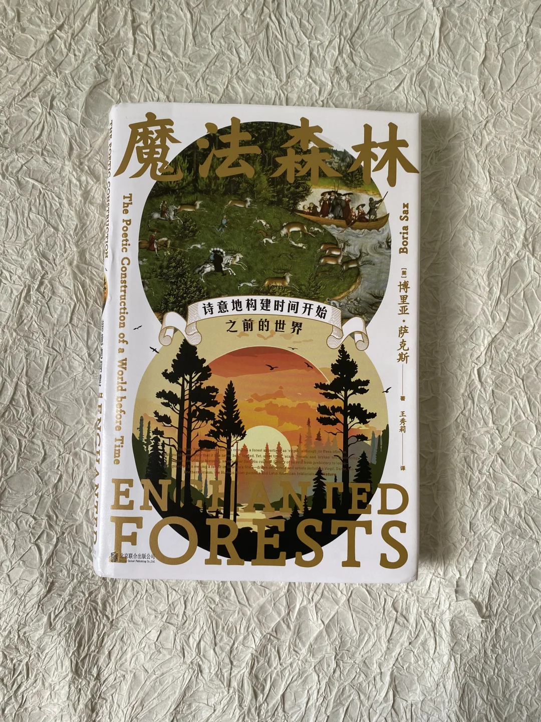 穿越幽深黑暗森林 | 树木的灵性与智慧🔮