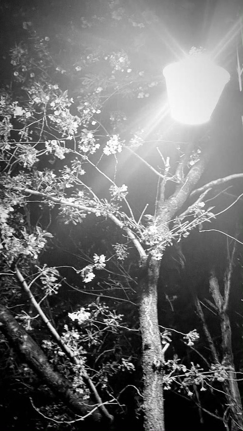 20230407 ig快拍

#李相沅# ​ ​