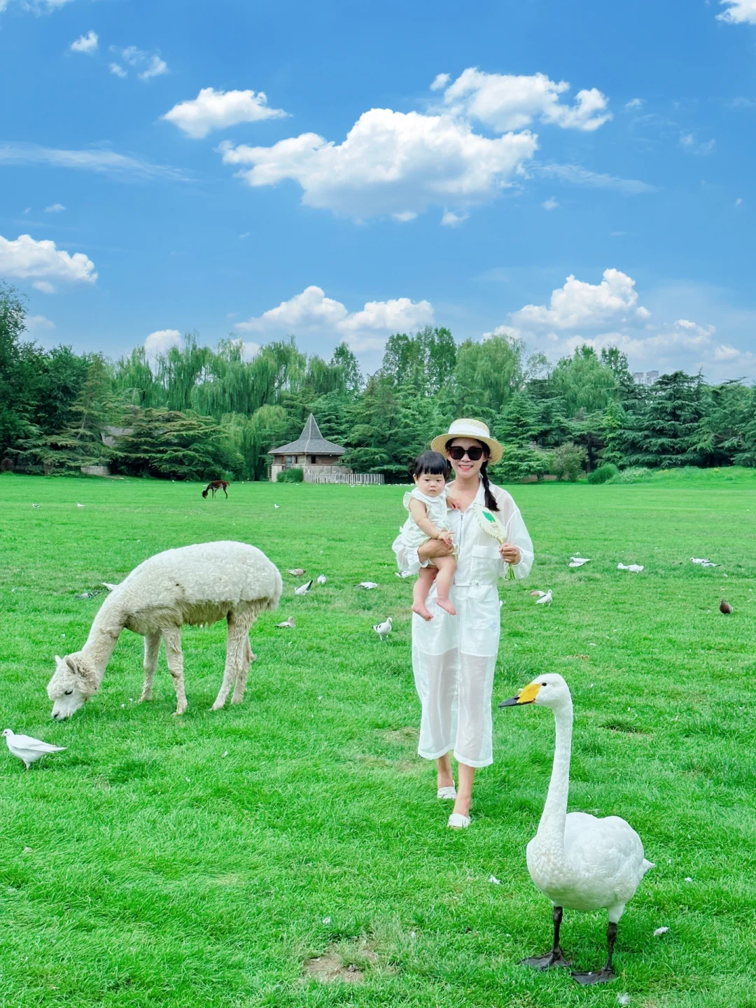 📣请大数据把我推给想去北京小奈良的小伙伴