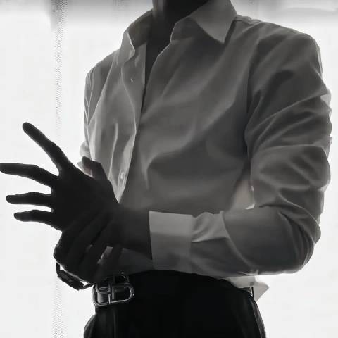 行走江湖的探哥