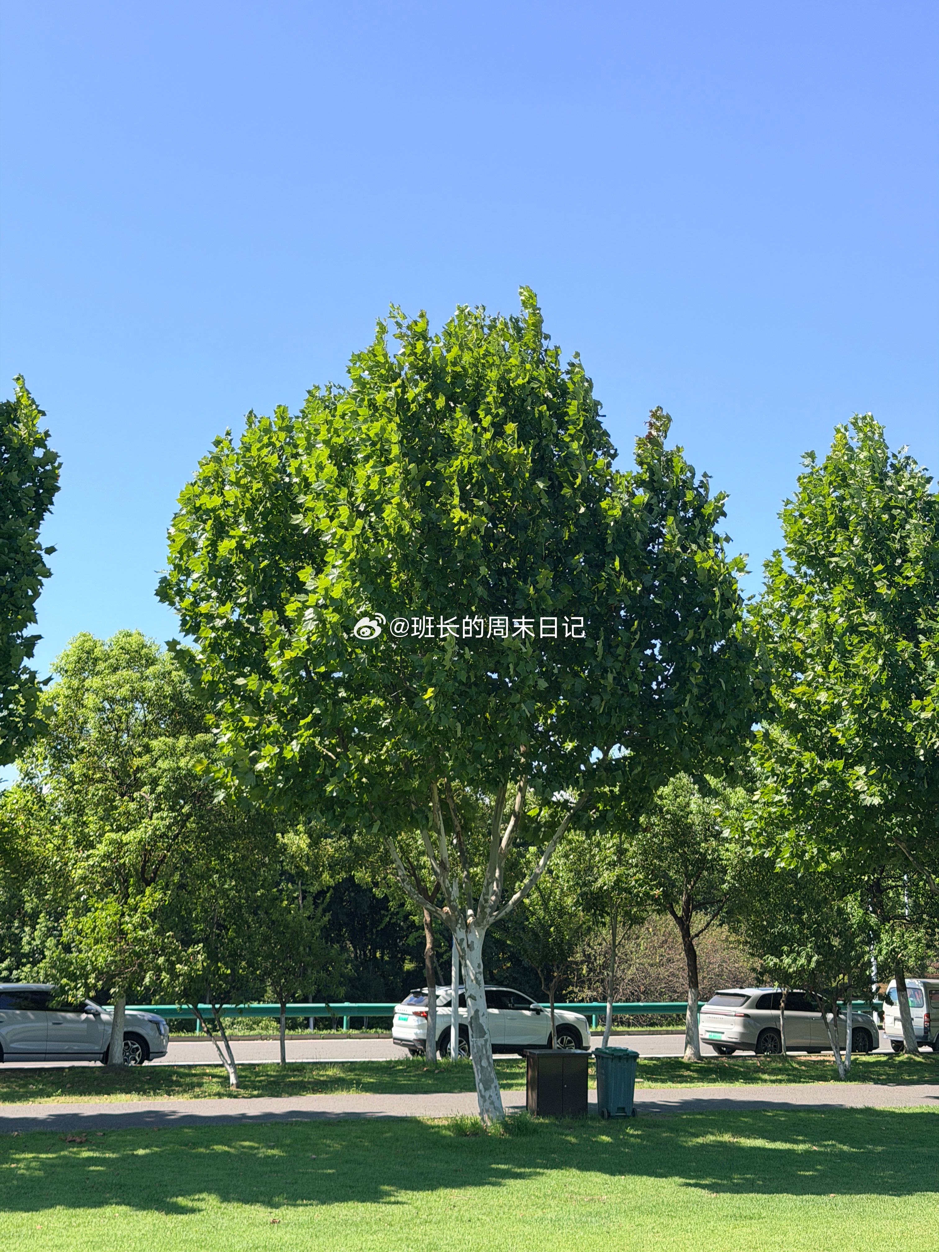 合肥版“呼伦贝尔”大草原！合肥[超话]记录生活[超话] ​​​