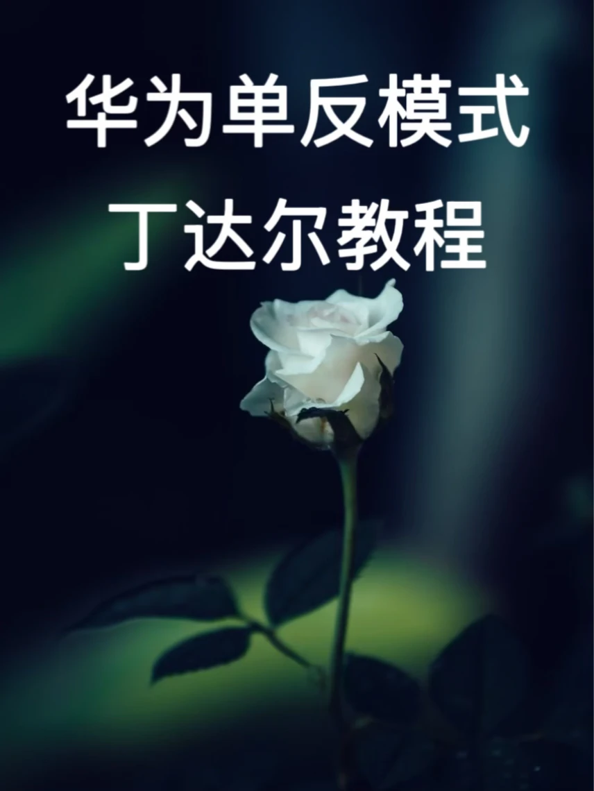惊呆了❗️HUAWEI丁达尔模式也可以这么绝🥹