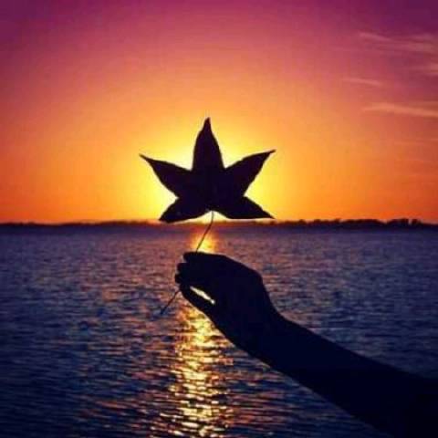 温澜潮生独行者