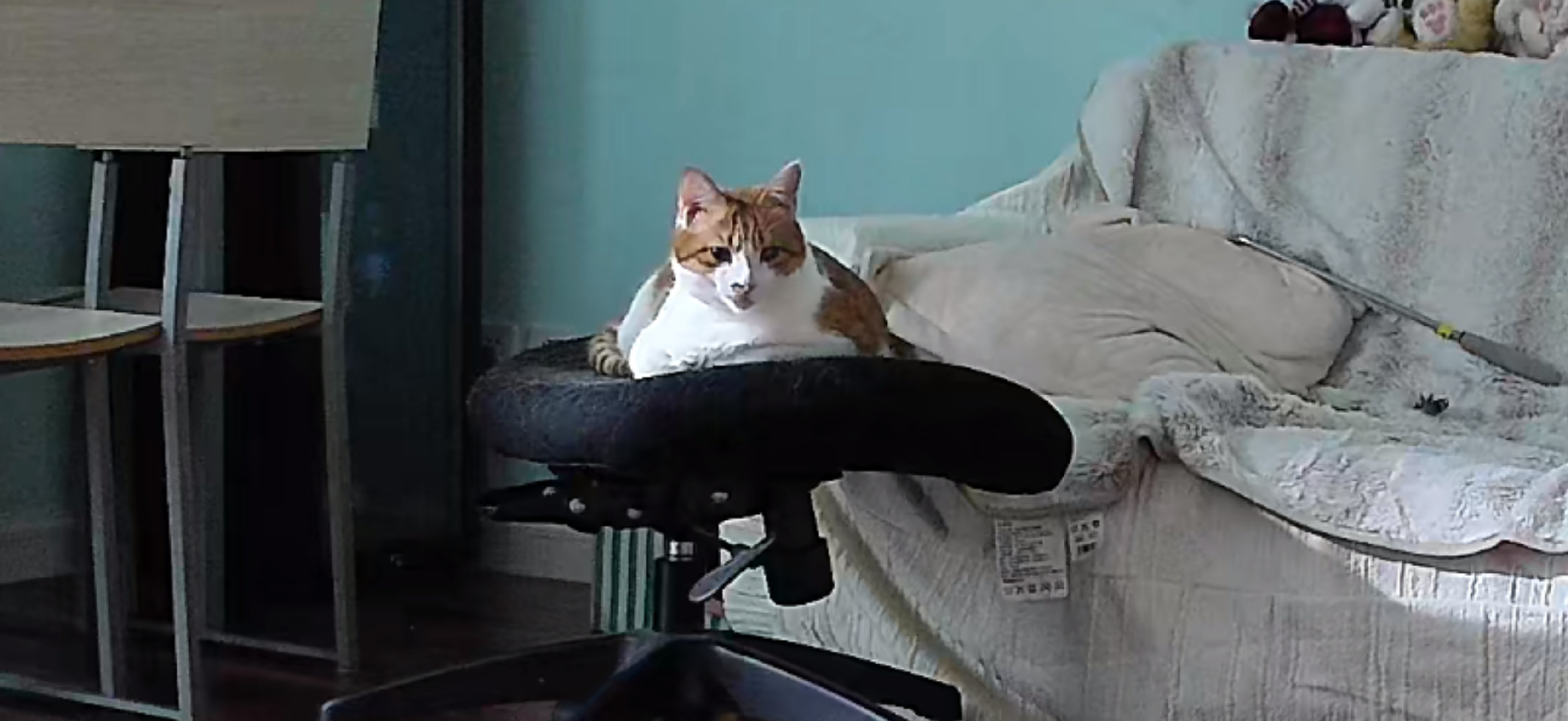 好可怜留守儿童 ​