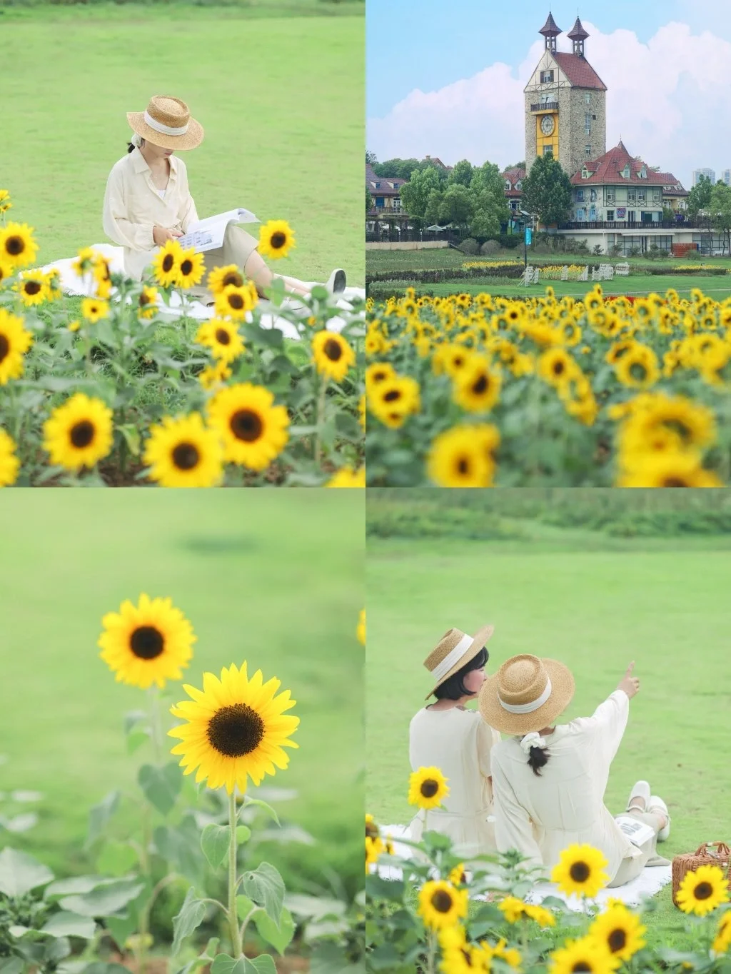 武汉油画向日葵花海❗️这里太出片了❗️