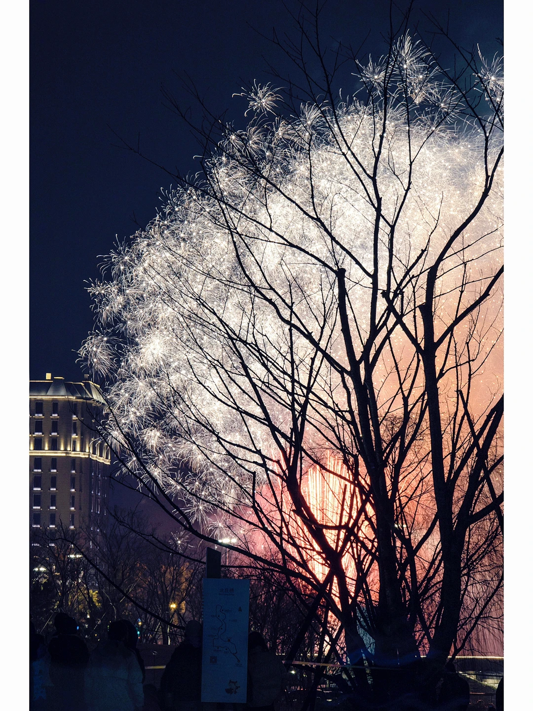 我拍到了“火树银花不夜天”
