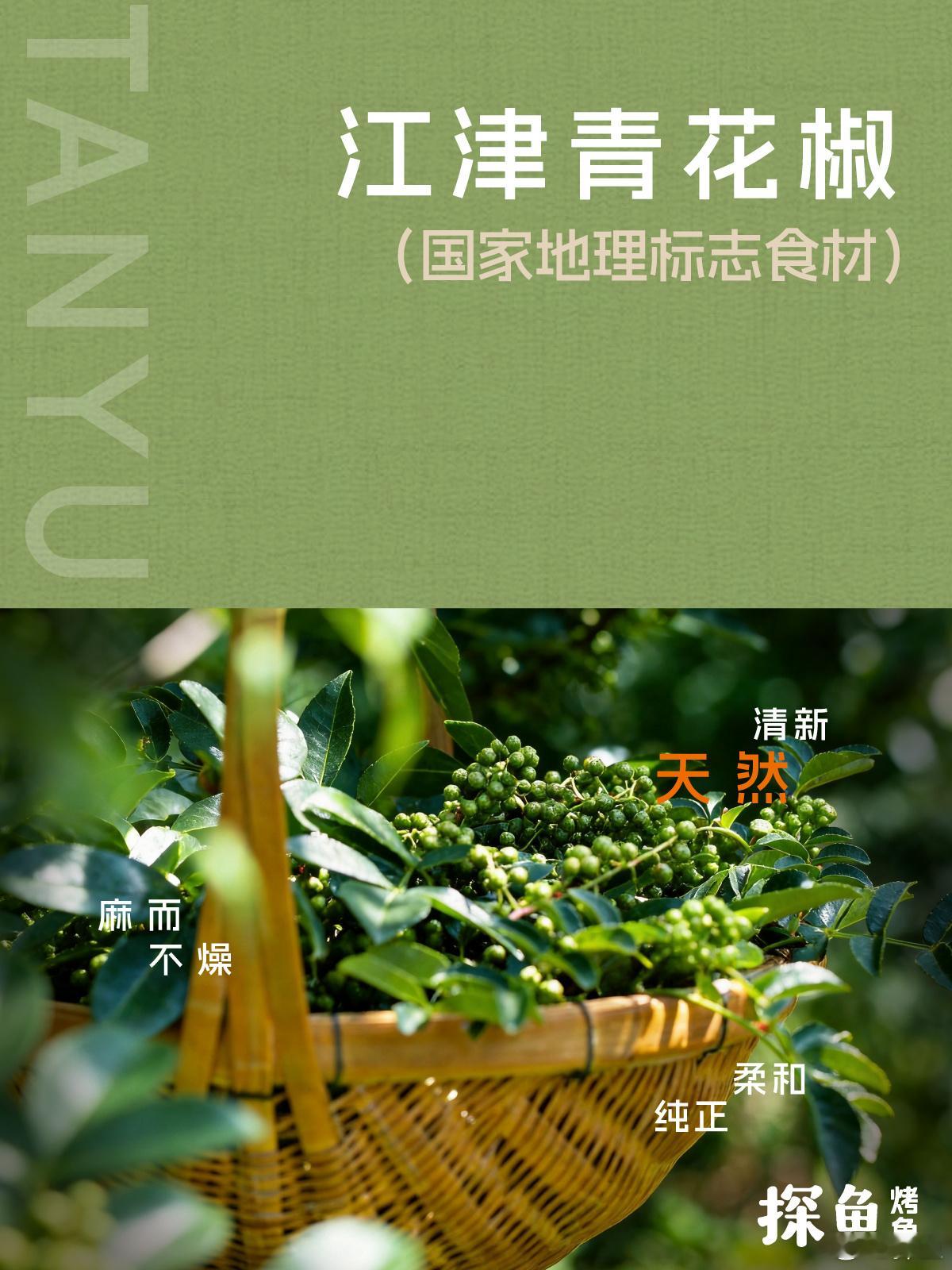 探 香 | 江 津 青 花 椒   一方水土养一味好椒，身为重庆国家地...