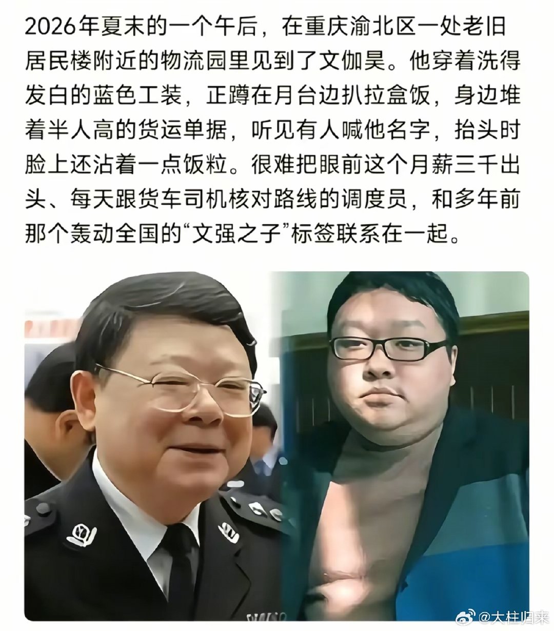 这就是文强的后代吗？

混的也太惨了吧？[费解] ​