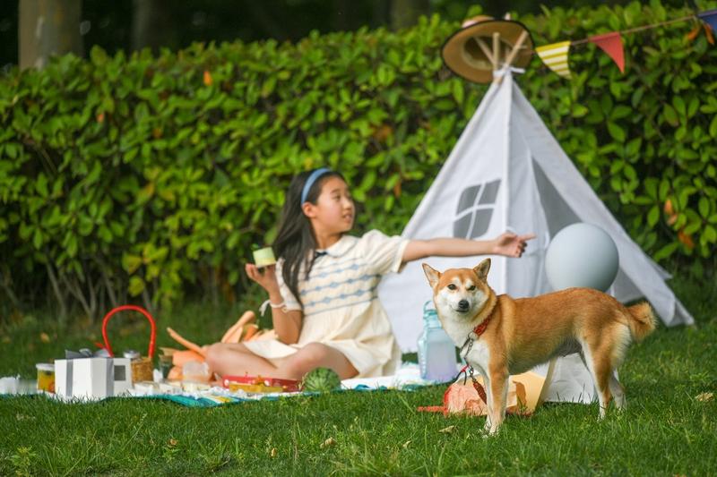 冬日生活打卡季 广州白云区石井值得一游！这里有被发现的露营圣地，很适合...