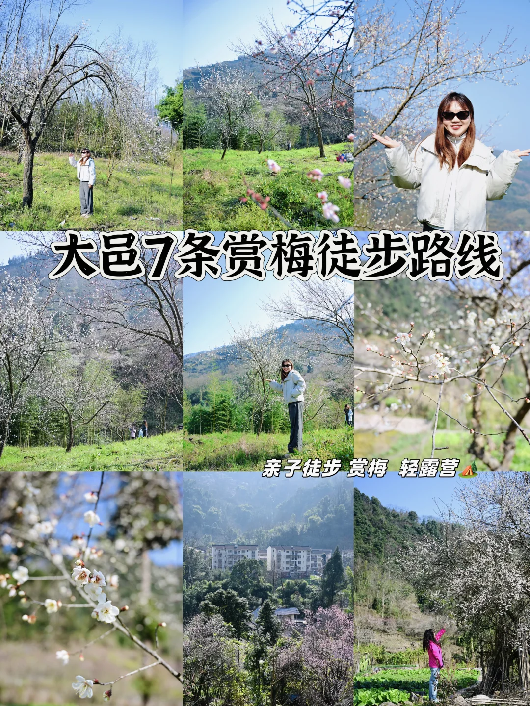 成都1.5h‼️大邑7条乌梅徒步线 人少花爆冲