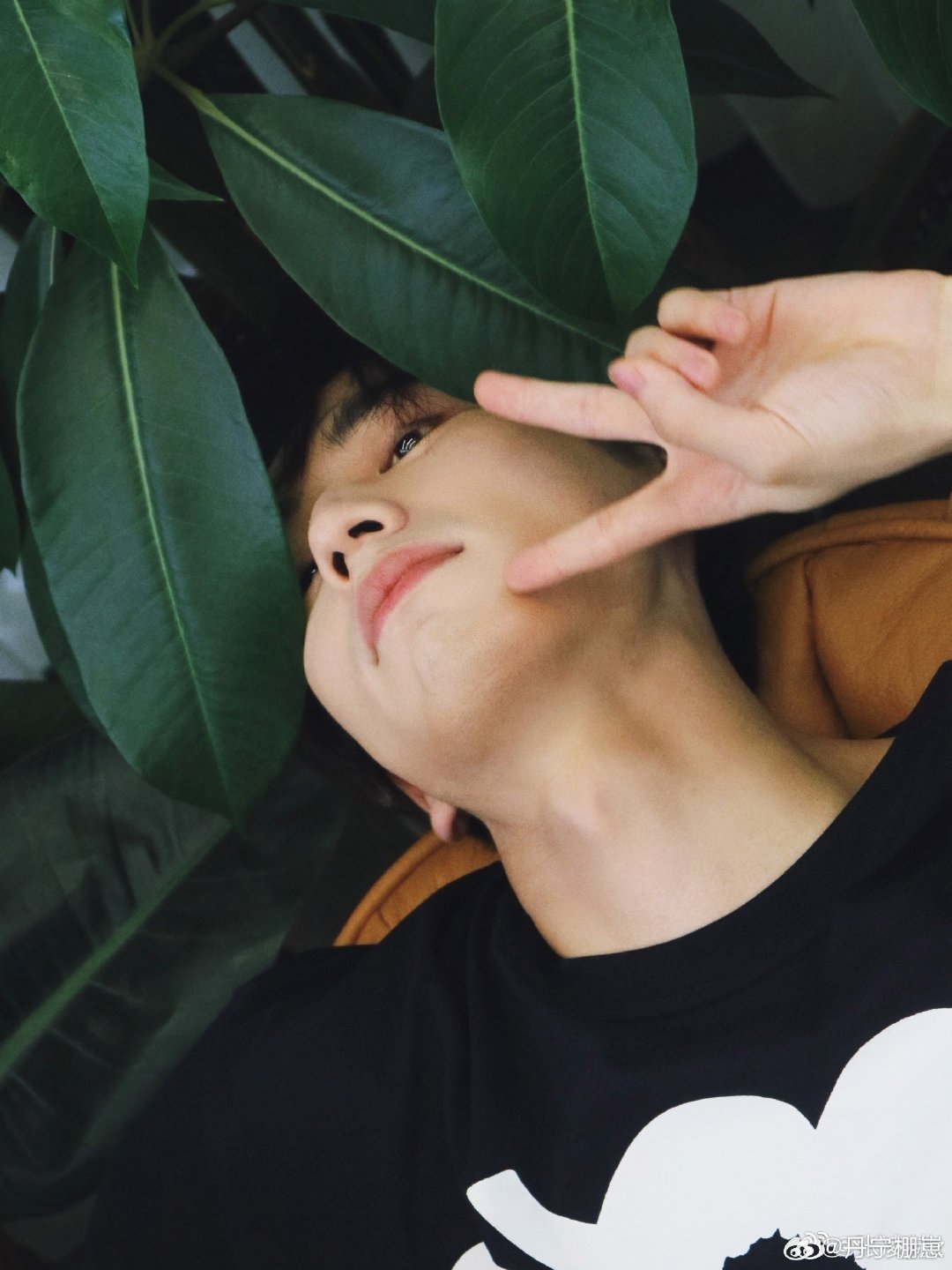 #张凌赫[超话]#  
提起你的来时路我还是会流泪 ​