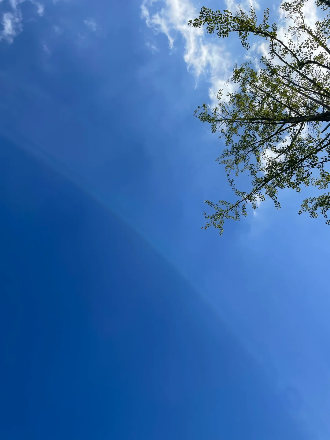 生活从不缺少美好，缺少的只是停下来的勇气 	 我们总是低着头赶路：上学...