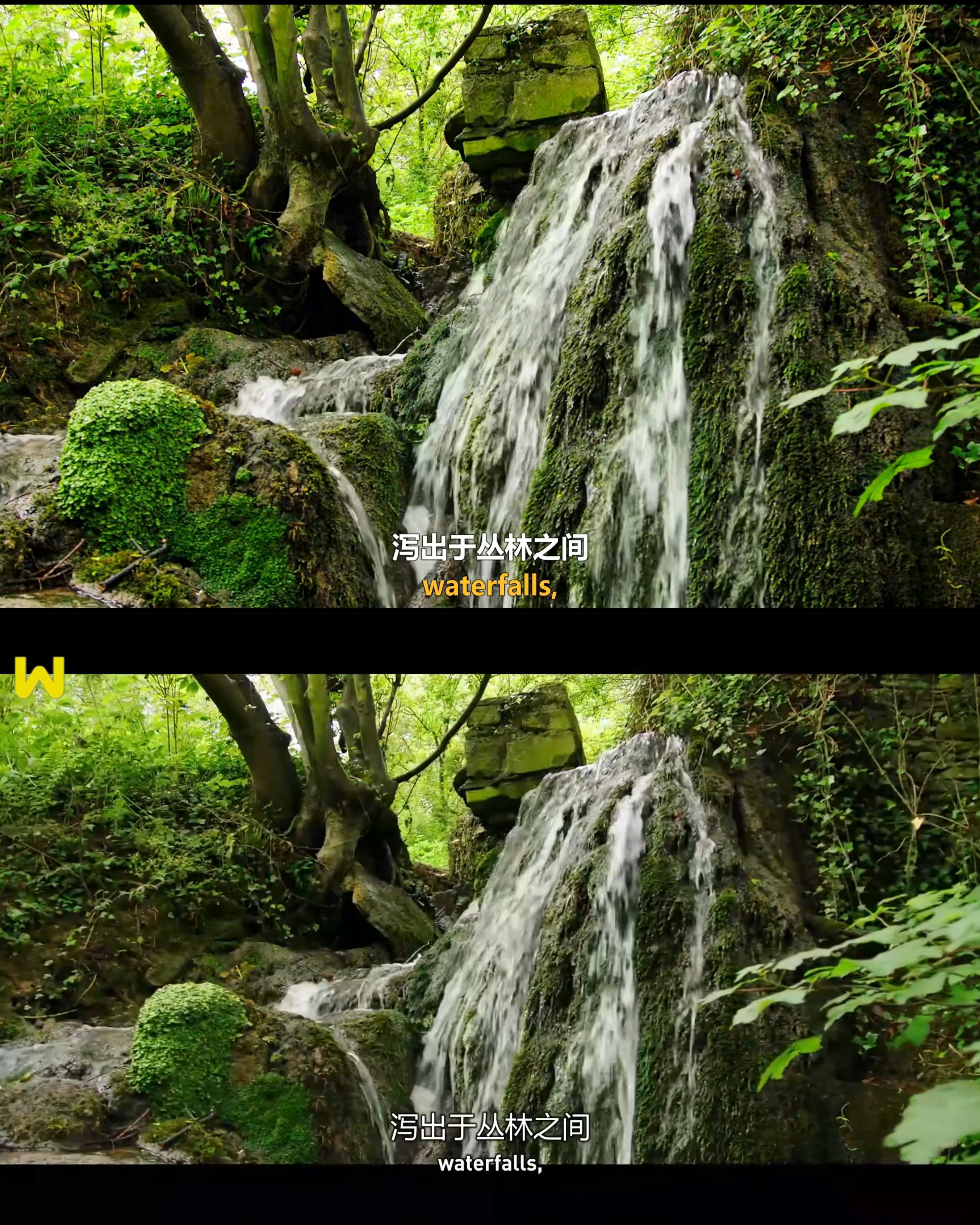 不多说了，大家直接看图吧[卡皮巴拉]
#克拉克森的农场##杰里米克拉克森##topgear##thegrandtour# ​