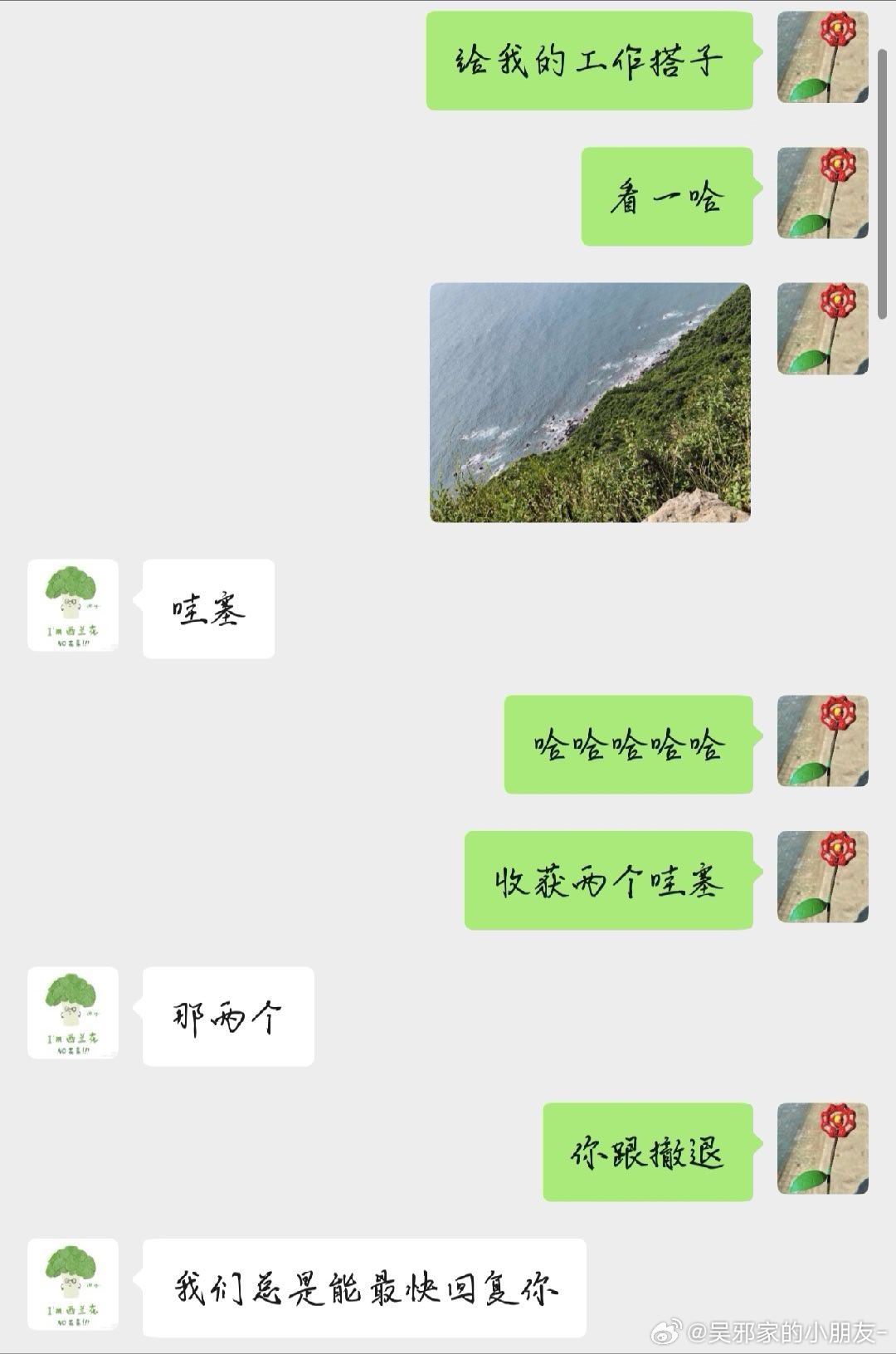 收获两个哇塞  ​