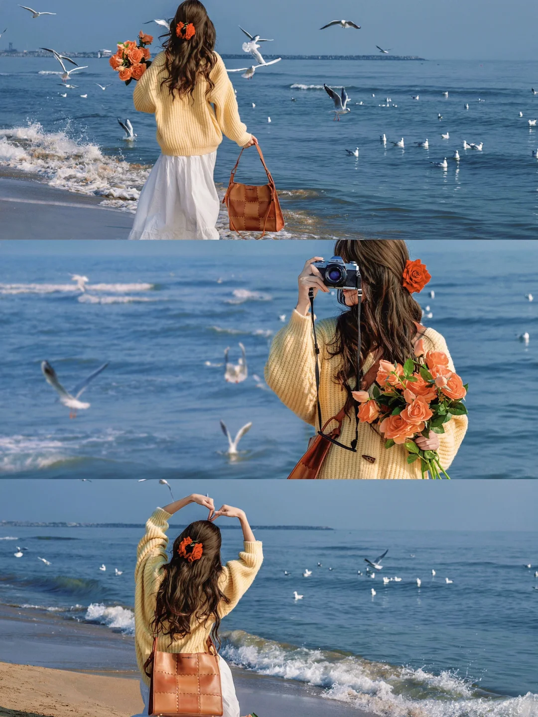 冬日限定海鸥电影感拍照|附手机滤镜教程