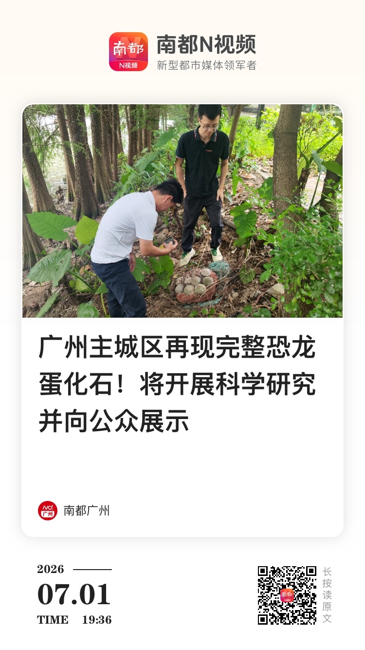 南都N视频【广州主城区再现完整恐龙蛋化石！将开展科学研究并向公众展示】...