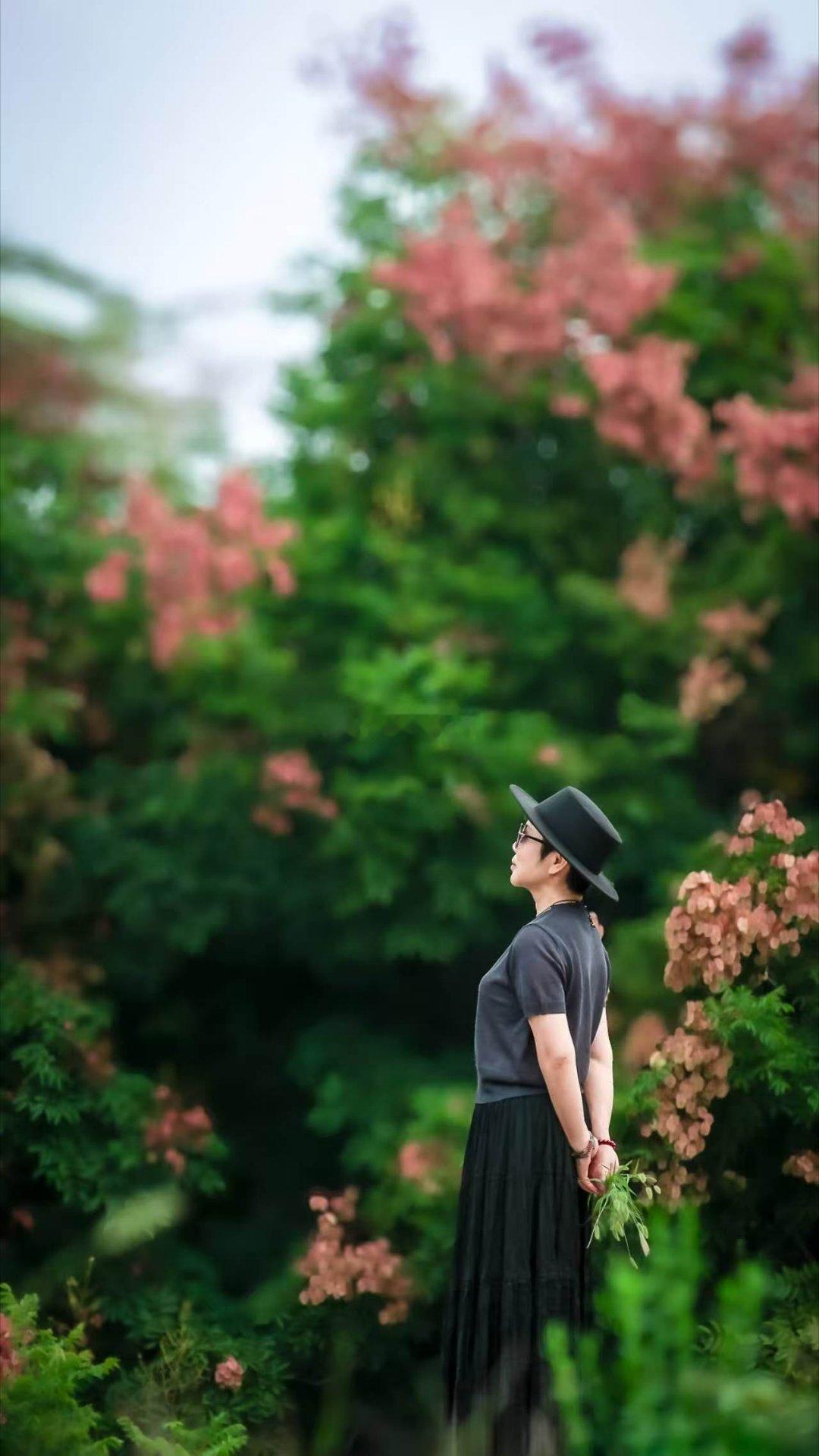 #读书[超话]##风景如画##遇见美好##栾树# 
叙利亚诗人阿多尼斯说：“冬是孤独，夏是离别，春是两者之间的桥梁，惟独秋，渗透所有的季节。”

秋的色彩是渐变的，由绿到黄，由黄到橙，由橙到红，颜色愈深，情意愈浓。随后便在风中枯萎凋落，镌刻满这一季的浪漫情怀。落叶萧萧，每一片，都是另一种花朵。 ​