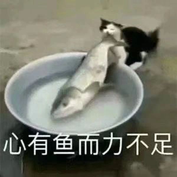放暑假真的比不放假还忙累[裂开]每天都得辅导作业 ​​​