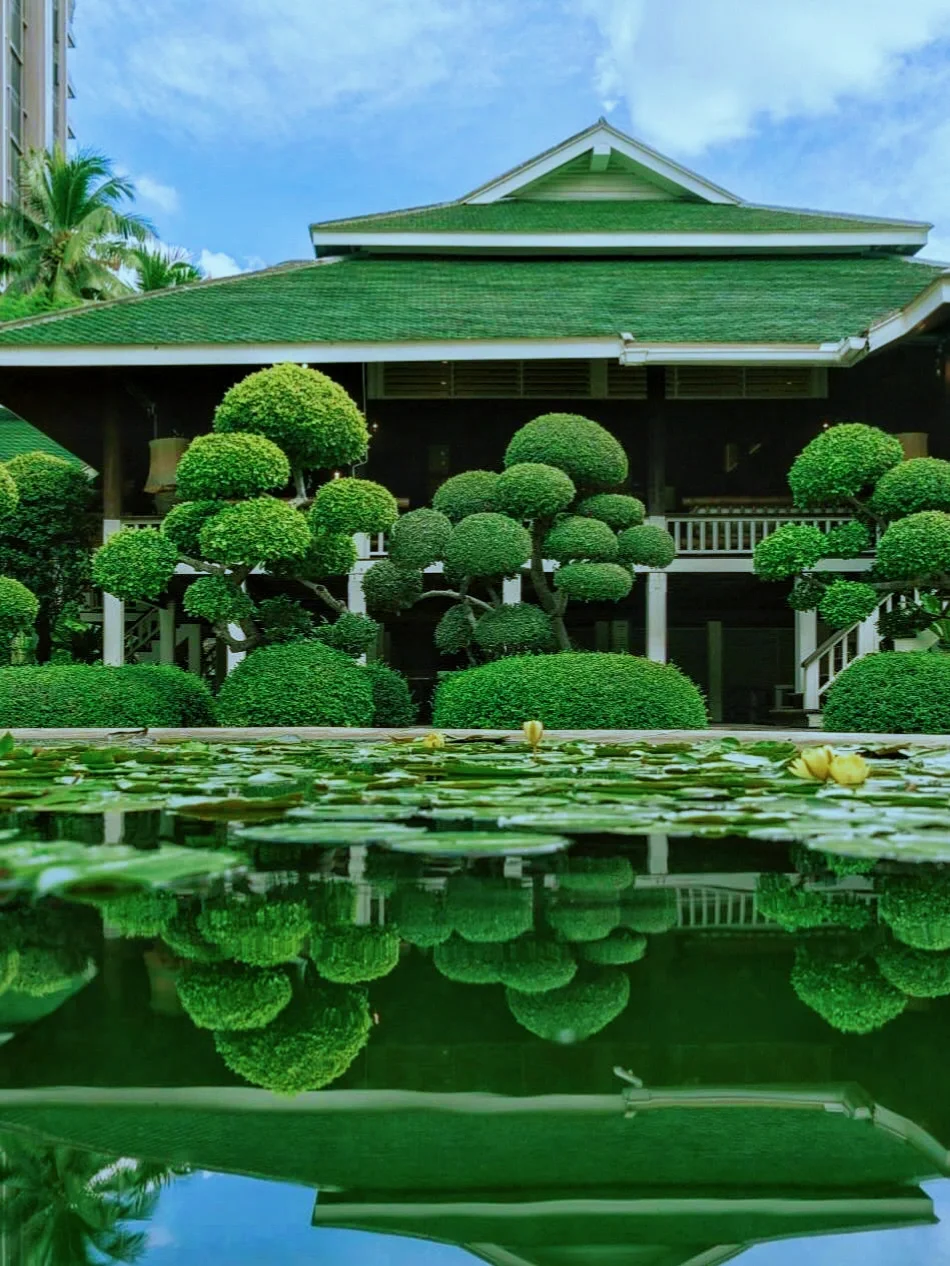 曼谷｜藏在闹市里的8⃣️家花园小店🧚🍃🍵🫧