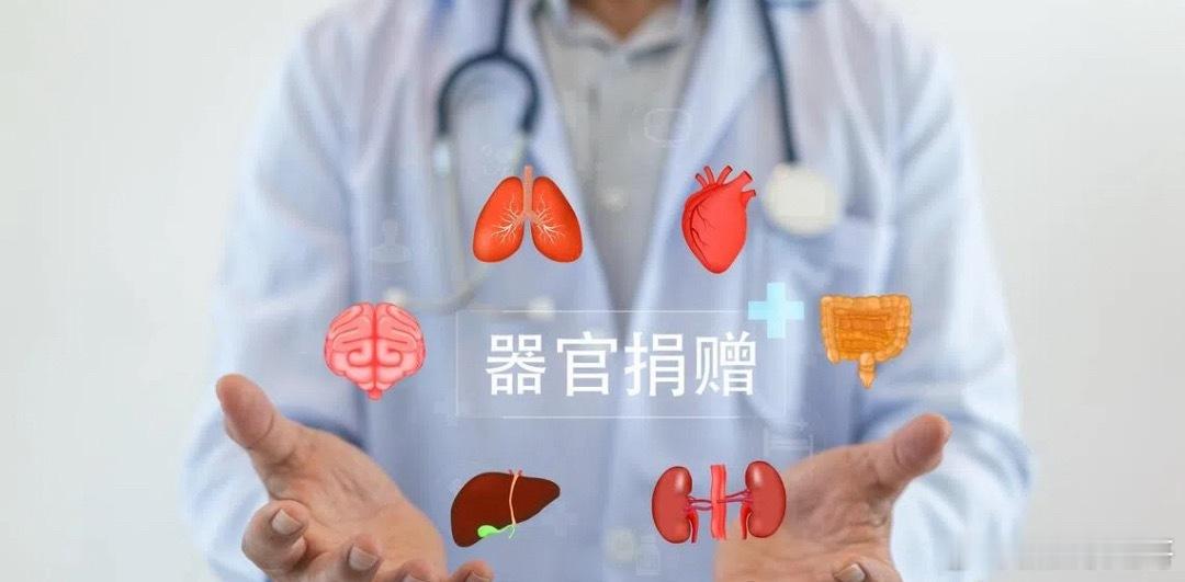 新加坡社会政策统筹部长兼保健卫生部长王乙康透露，过去五年，新加坡共进行了973起器官移植手术，其中309起来自活体捐赠，另外664起来自遗体器官移植。目前等待移植器官者的人数，远多于可供移植的器官数量。器官需求与合适捐赠者之间存在差距，是全球都面对的挑战，并非新加坡独有。新加坡新加坡达哥 新加坡·ibis Singapore on Bencoolen