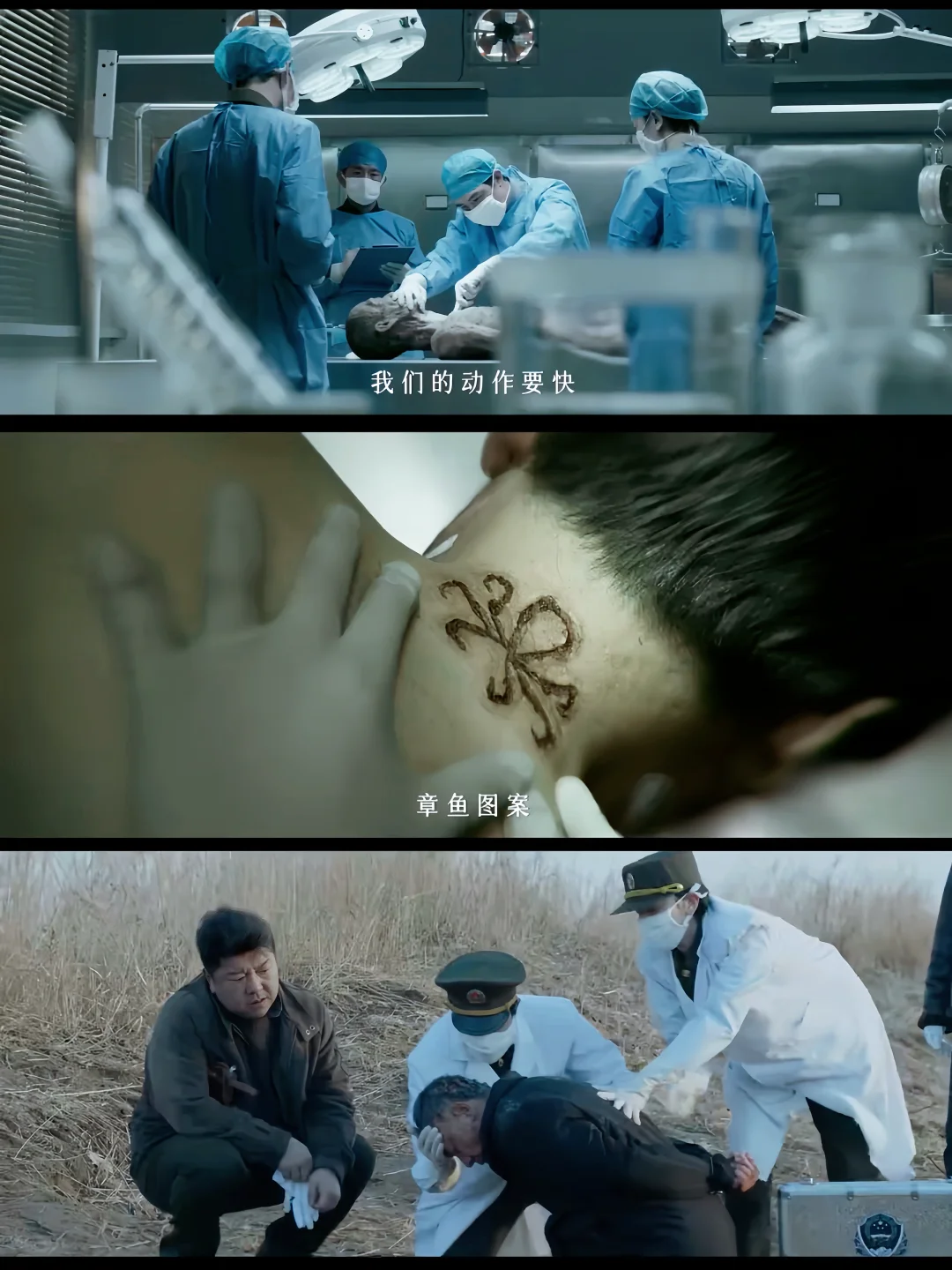 终于要播‼️刑侦悬疑‼️法医推理破案‼️3集1案