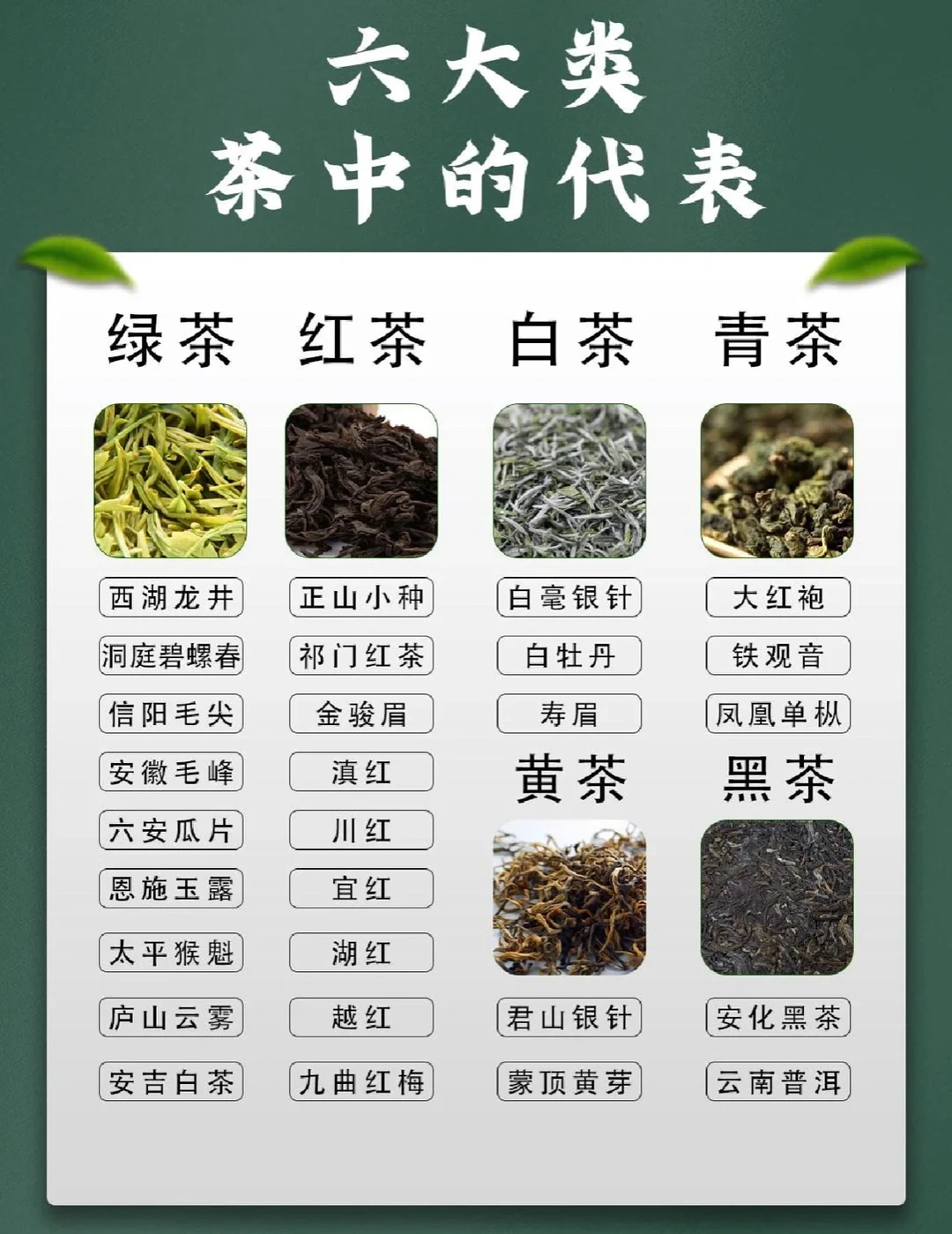 认准中国6大茶类，买到适合自己的茶