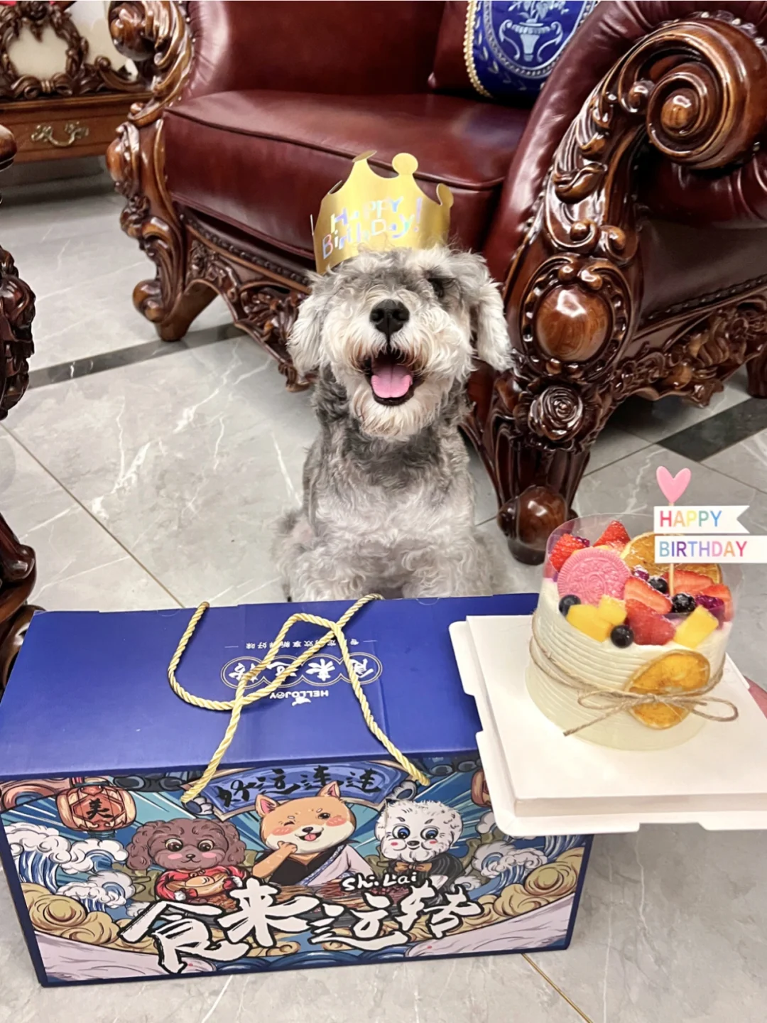 viki已经不是两岁小孩了！！！