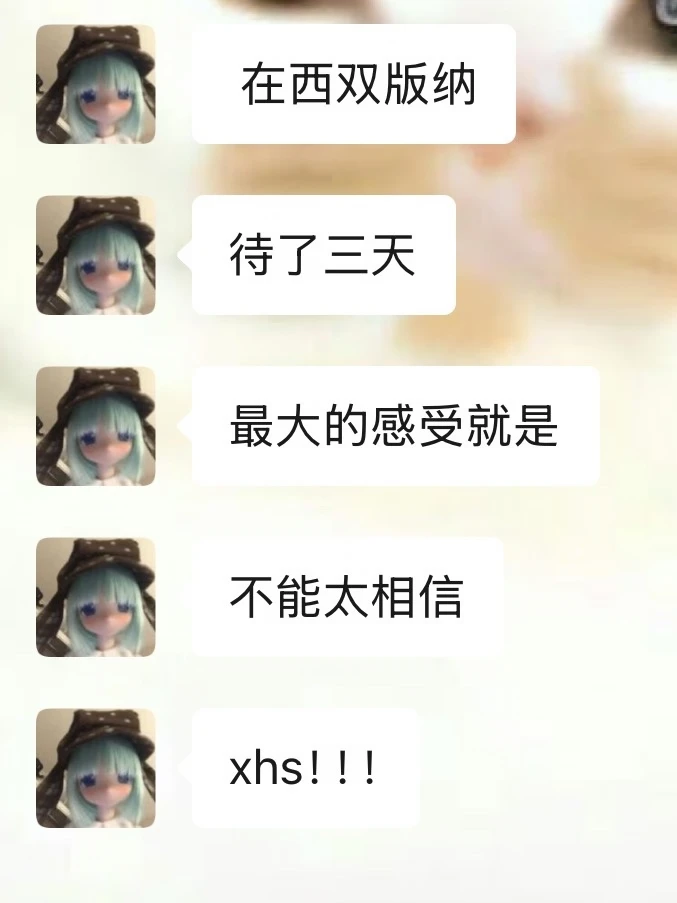 到了西双版纳才知道网上的攻略不能全信….