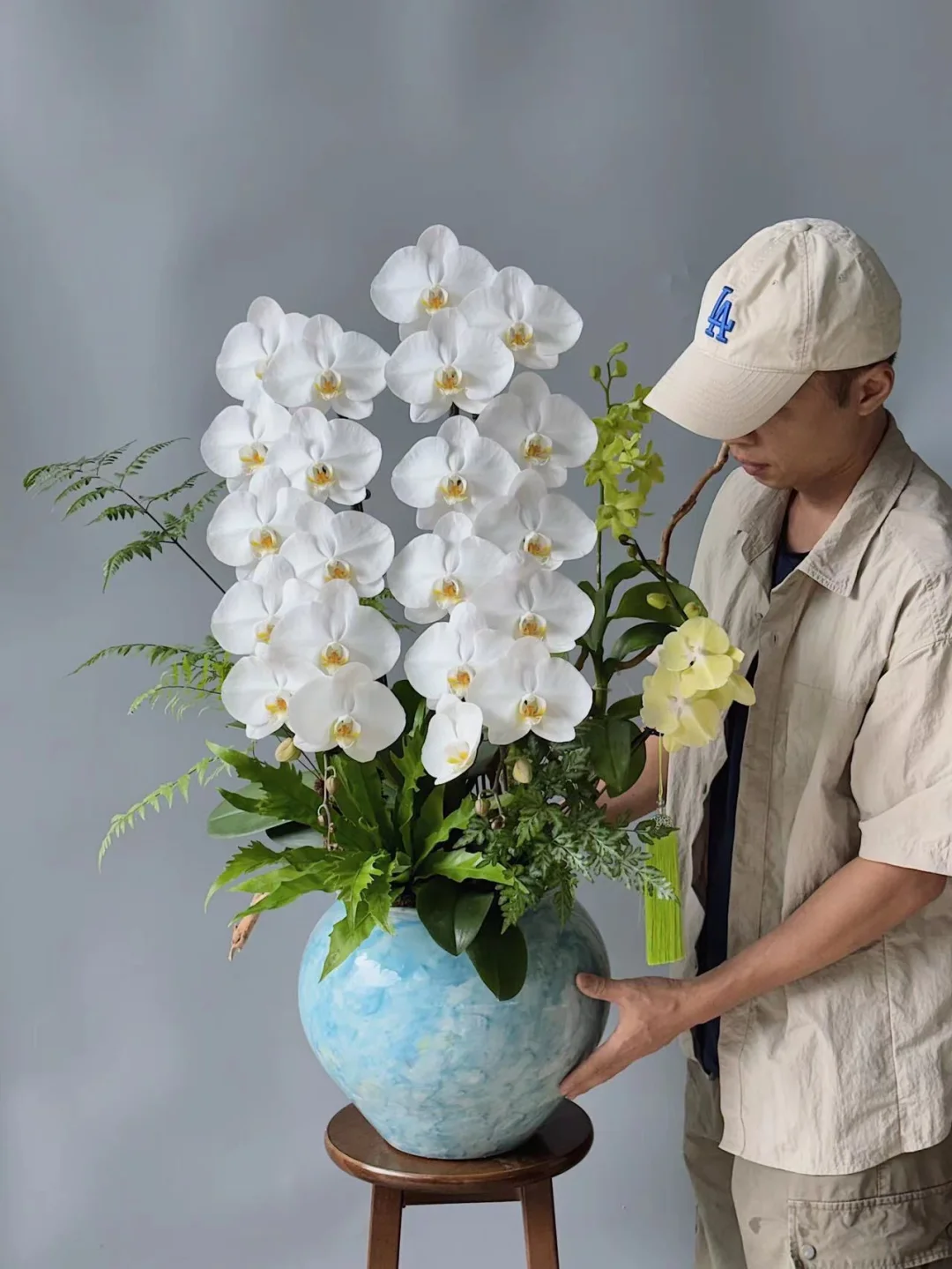 每日做一款与众不同的兰花No.337