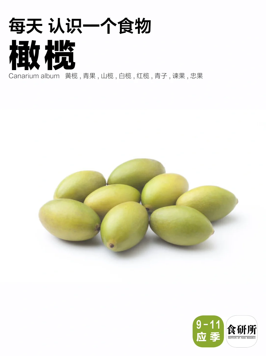 冬春橄榄赛人参？