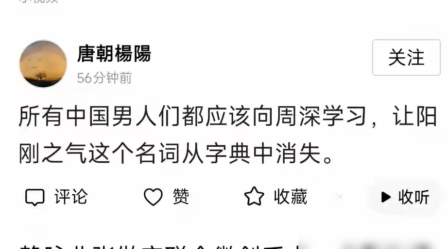 周深武汉演唱会那套粉宫廷刺绣服一出来，评论区直接炸了。有人截图骂男不男女不女，转头央视秋晚那身银灰蕾丝亮片，又被拎出来说花枝招展。
可你去听现场版《大鱼》，全开麦，稳得吓人。造型团队早说了，轻纱飘带猫耳那套，就是为贴合空灵曲风做的舞台视觉。歌迷也认账：人家靠嗓子吃饭，又不是靠膀子。
一个靠唱功杀