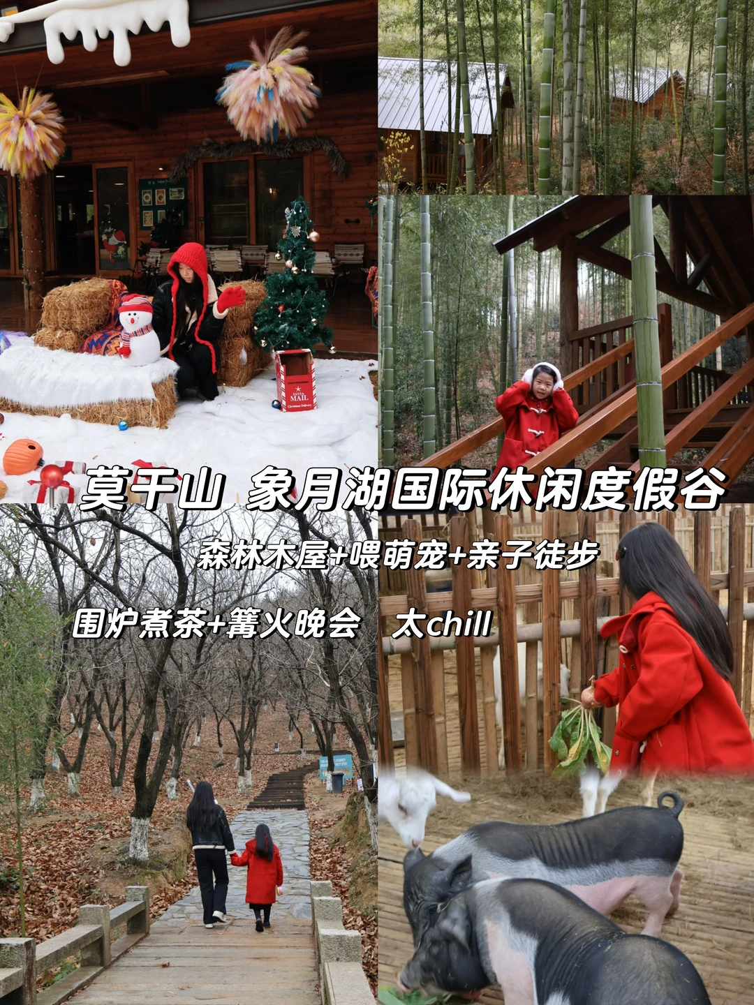 元旦带娃住进莫干山森林木屋🛖过童话周末！