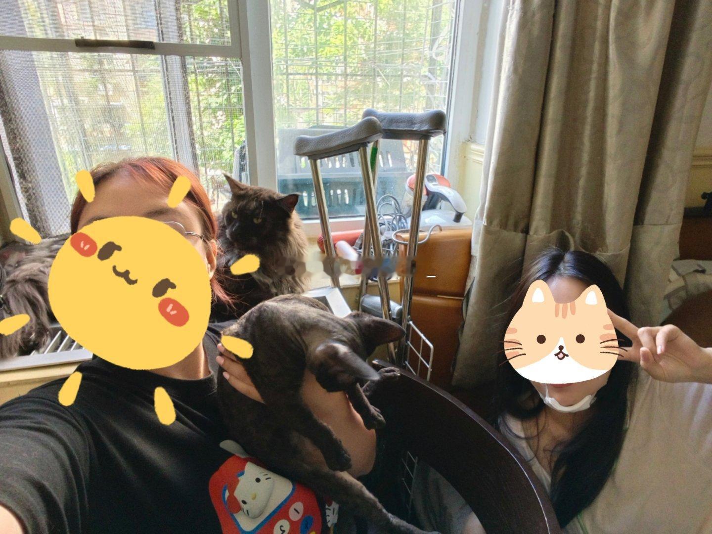今天去看望了车祸的室友[作揖][作揖]顺便撸了她家两只小猫咪 ​
