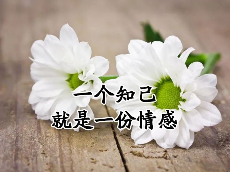 关心变成习惯，让爱永不打烊！ 今天，我就跟大家详细聊聊这个话题。我们会...