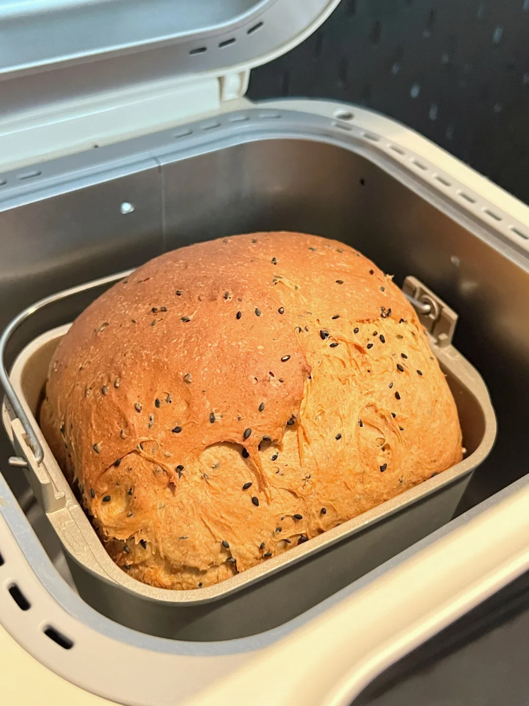 全麦面包模式我帮大家试过了！🍞