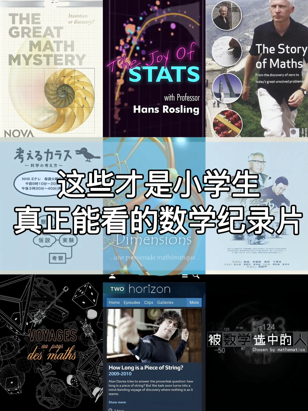 这些才是小学生👍真正能看的数学纪录片