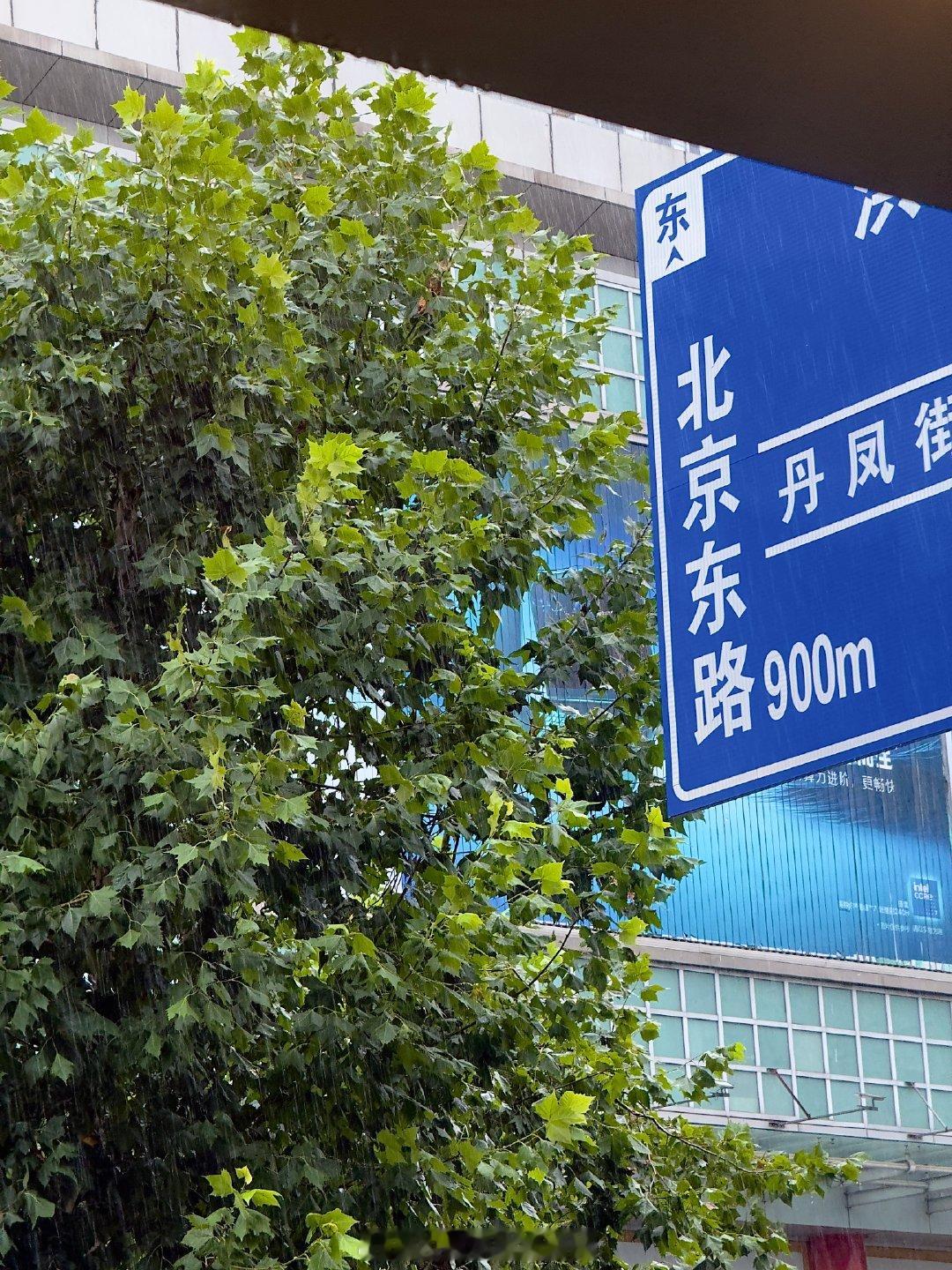 我发现用苹果拍raw格式照片的质感会很好 ​