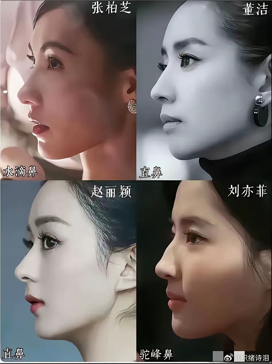 四个女星，
眼睛最美，赵丽颖，
脸型最美，张柏芝，
身材最好，董洁
鼻子最美，刘亦菲，
作品最多，赵丽颖，
你怎么看？ ​