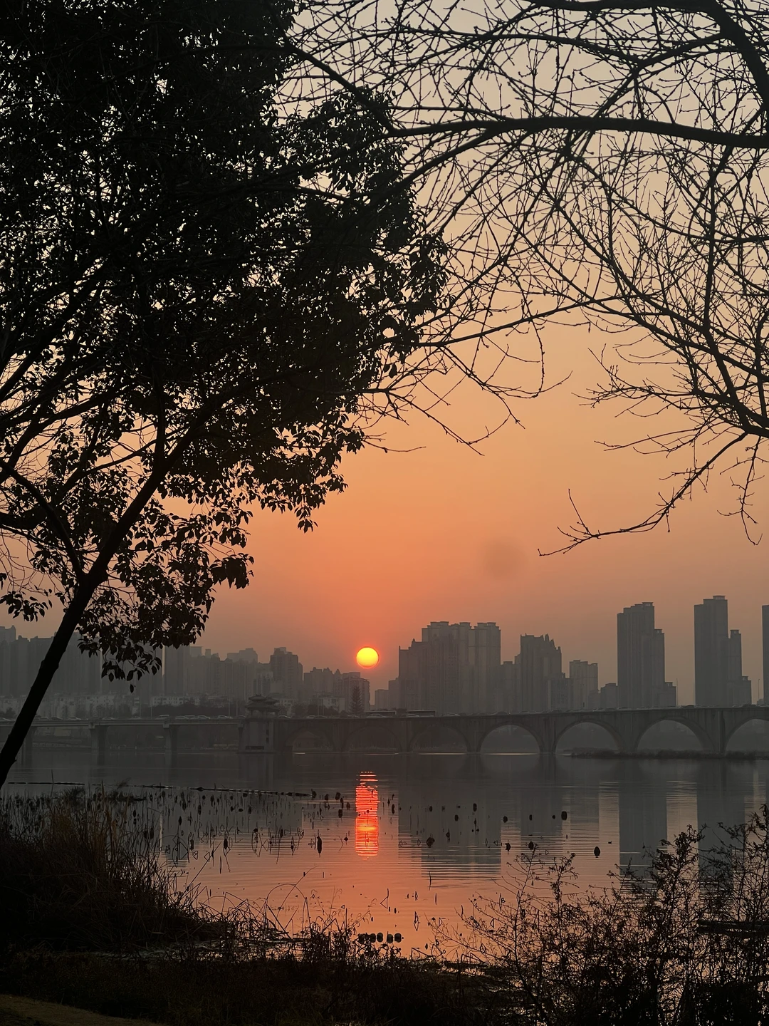 在冬季的街头跑一跑