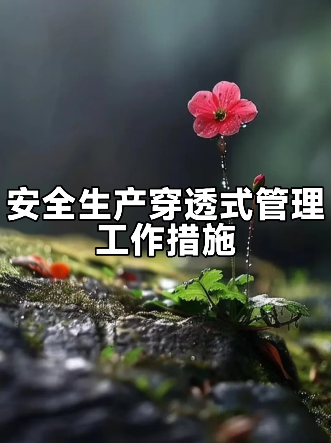 体制内：安全生产“穿透式”管理工作措施