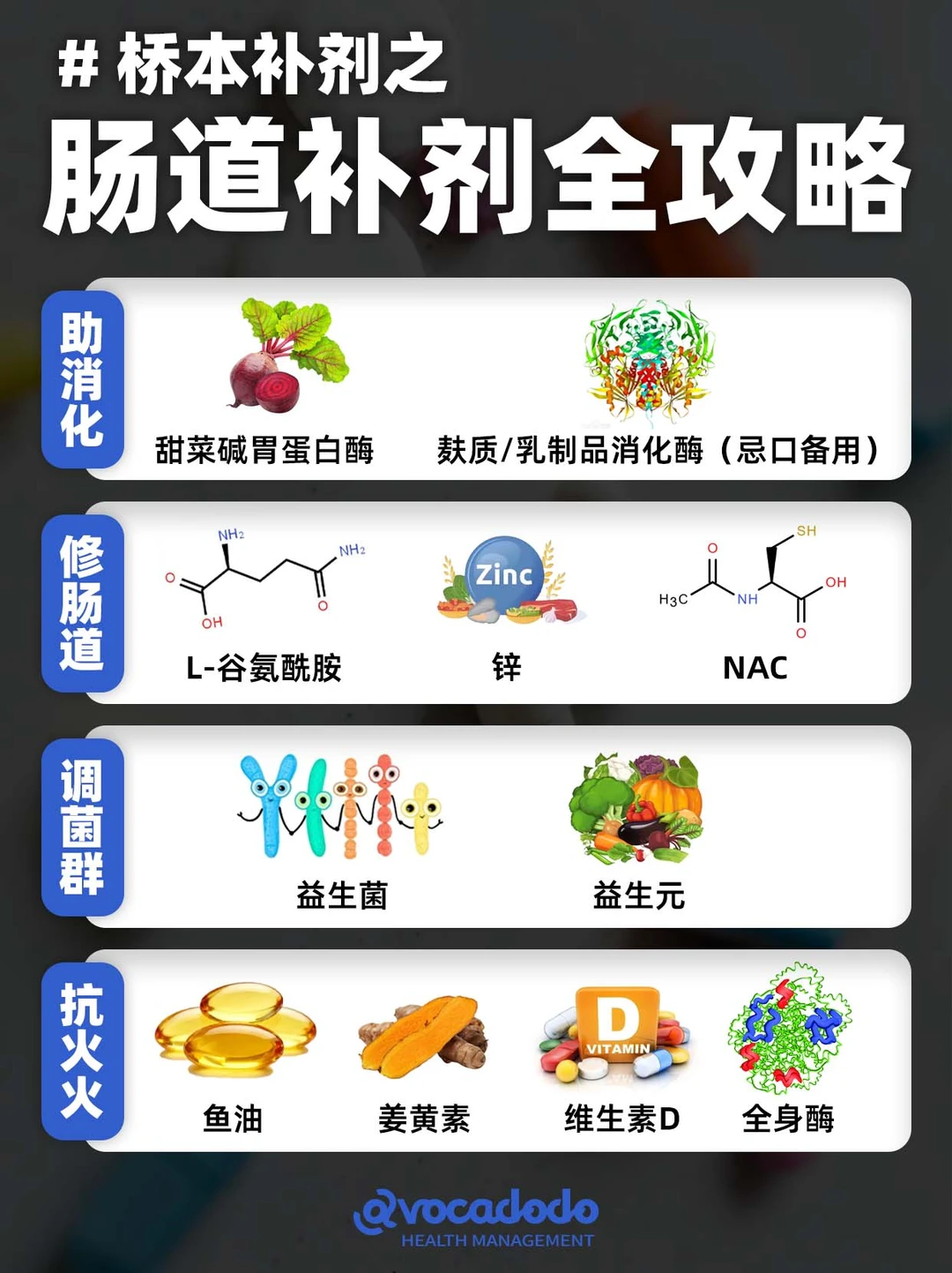 桥本人肠道补剂全攻略｜精准护肠不踩坑